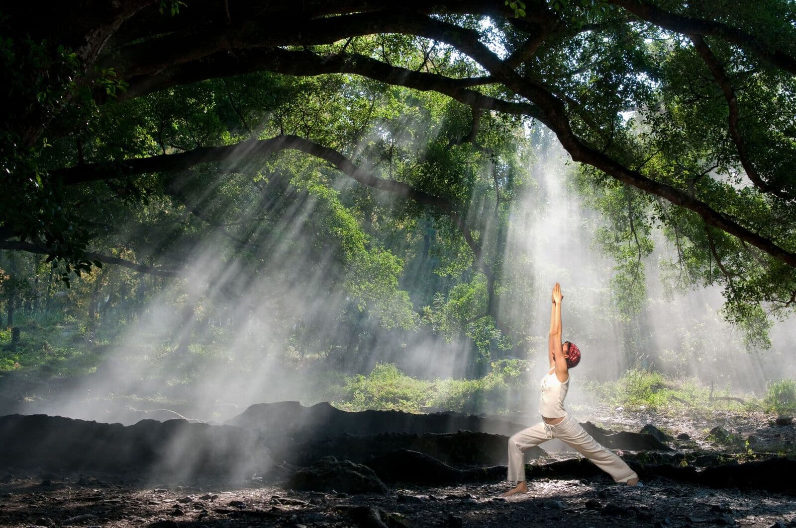 Kerala Ayurveda & Yoga Journey
